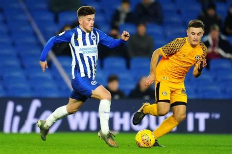 sofifa brighton|brighton futbol24.